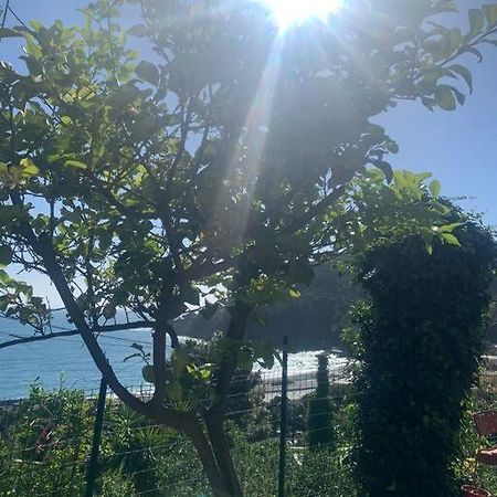 Cozy Beach House With Nice Garden, Basic Feel Appartement Bonassola Buitenkant foto