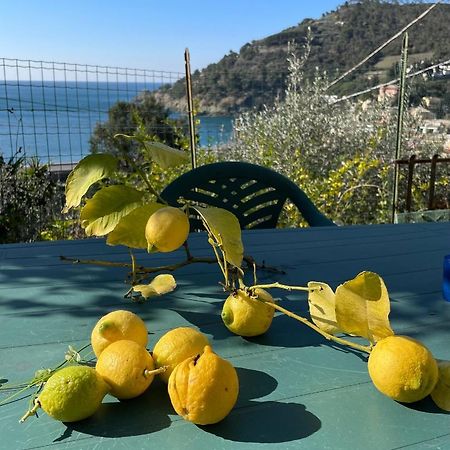 Cozy Beach House With Nice Garden, Basic Feel Appartement Bonassola Buitenkant foto