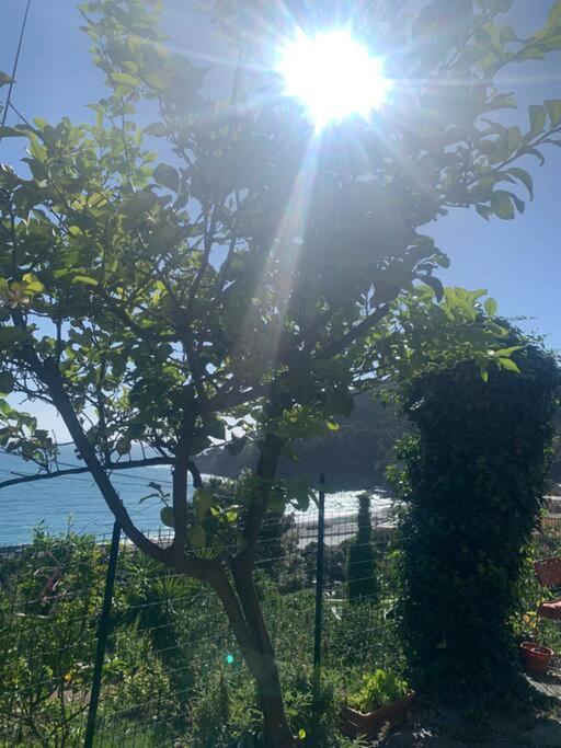 Cozy Beach House With Nice Garden, Basic Feel Appartement Bonassola Buitenkant foto