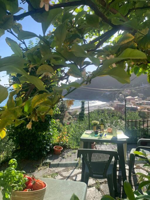Cozy Beach House With Nice Garden, Basic Feel Appartement Bonassola Buitenkant foto