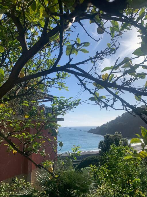 Cozy Beach House With Nice Garden, Basic Feel Appartement Bonassola Buitenkant foto