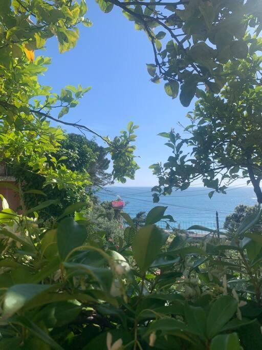 Cozy Beach House With Nice Garden, Basic Feel Appartement Bonassola Buitenkant foto